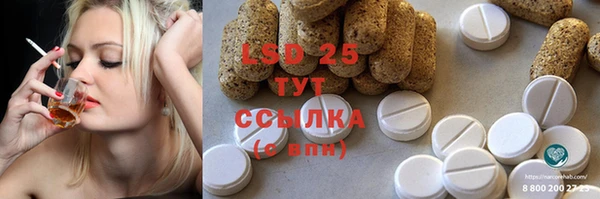 гашик Мегион