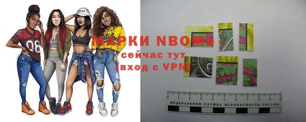 гашик Мегион
