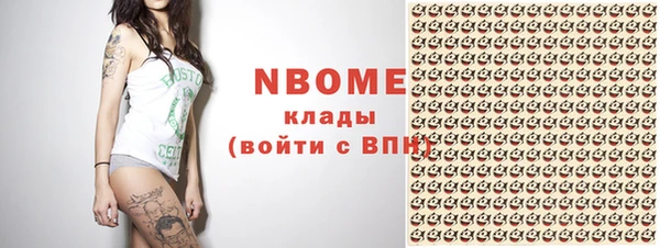 гашик Мегион