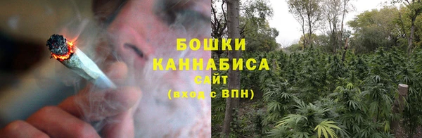 ГАЛЛЮЦИНОГЕННЫЕ ГРИБЫ Медвежьегорск