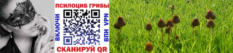 Галлюциногенные грибы мицелий  как найти закладки  Нолинск 